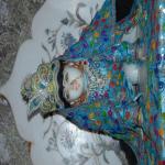 Vraj-Yatra-2014- (238)